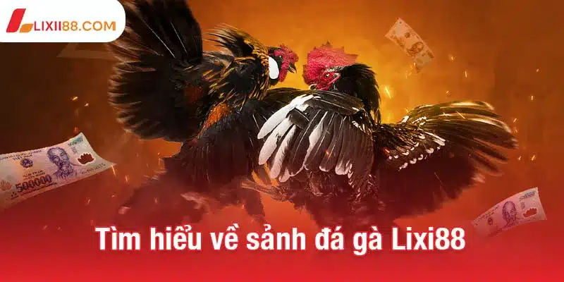 Tìm hiểu về sảnh đá gà Lixi88